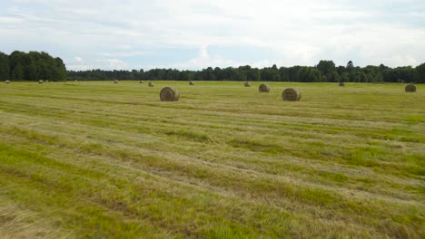 flying low over sundown green grass field after haymaking. fpv fly through between golden round hay bales across the freshly mowed summer farmland meadow with sun dried hay. trees line the horizon