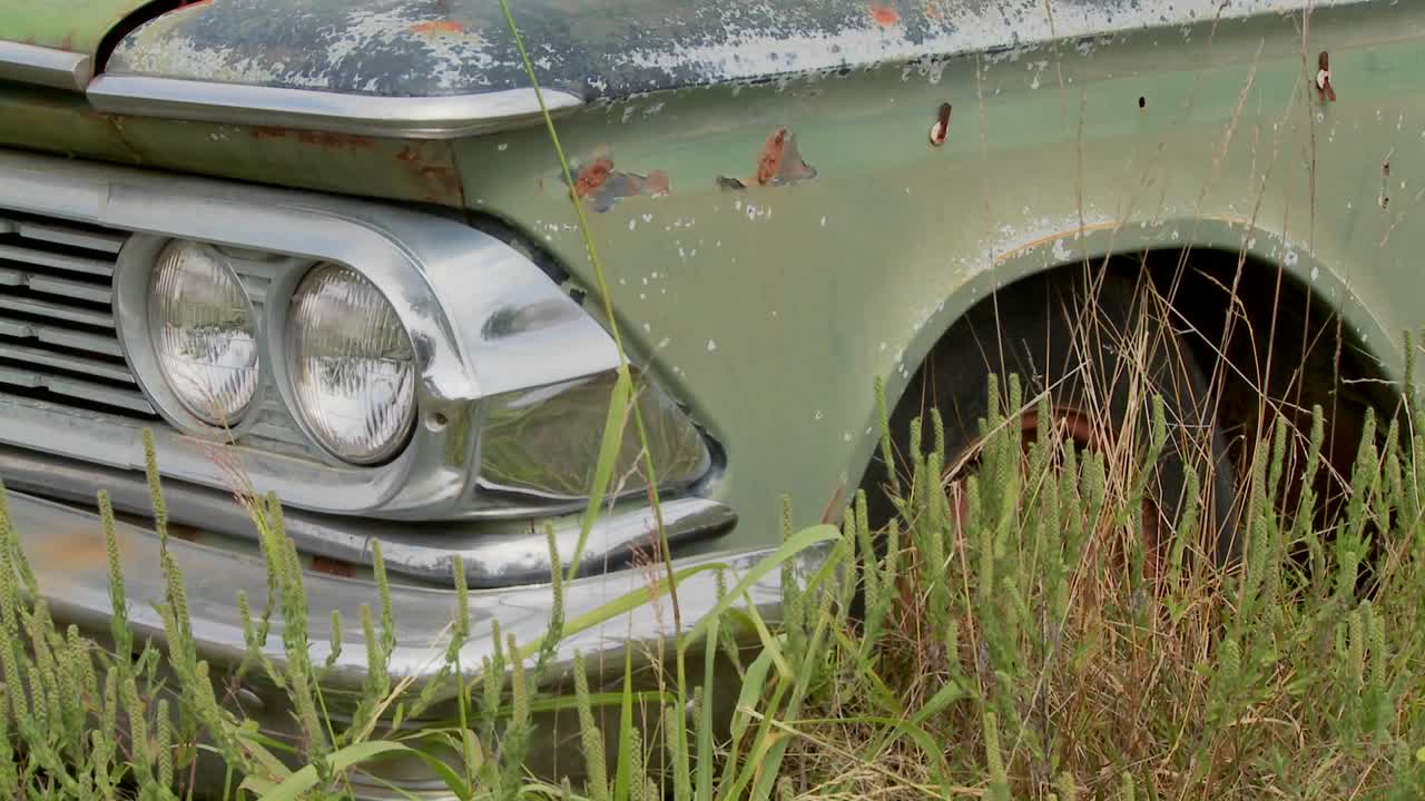 un viejo ford edsel se sienta en un campo 4
