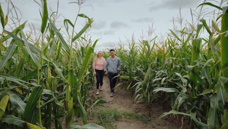 Young-Multiethnic-Couple-Walks-Through-The-Corn-Maze-Fairgrounds-And-Fun-At-Halloween-In-The-Usa