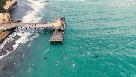 drone footage captures swimmers near a jetty in port campbell, australia. clear turquoise waters and coastal scenery create a serene atmosphere