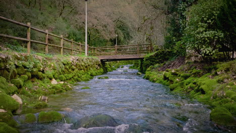 Parque-De-La-Fuente-Del-Río-En-Cámara-Lenta