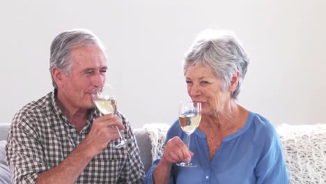 cute mature couple toasting with wine in the living room