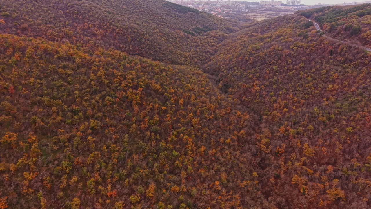 Bulgaria's autumn landscape shows vibrant colors from an aerial view