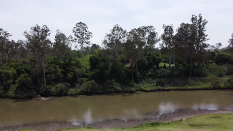 Drone-Ascendiendo-Sobre-Un-Río-Marrón-Mostrando-árboles-En-La-Orilla-Del-Río