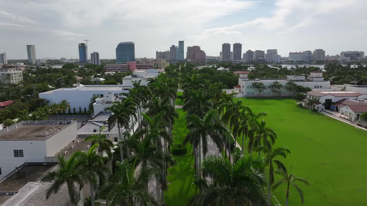 Aerial View of Palm Tree Lined Street and City Skyline