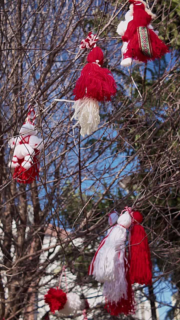 Baba Marta festivali sırasında çıplak dallardan sarkan Bulgar Martenitsa tılsımlarının yakın dikey görünümü. Mevsimlik ve halk gelenekleri konseptleri için idealdir.
