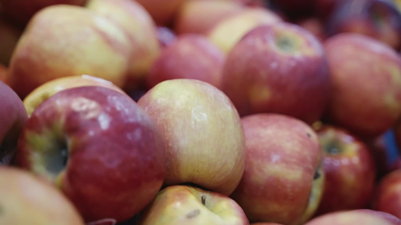 신선한 사과 더미의 클로즈업