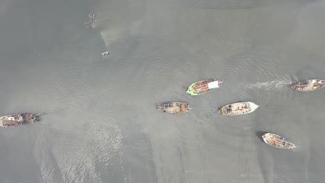 fishing boats on the water