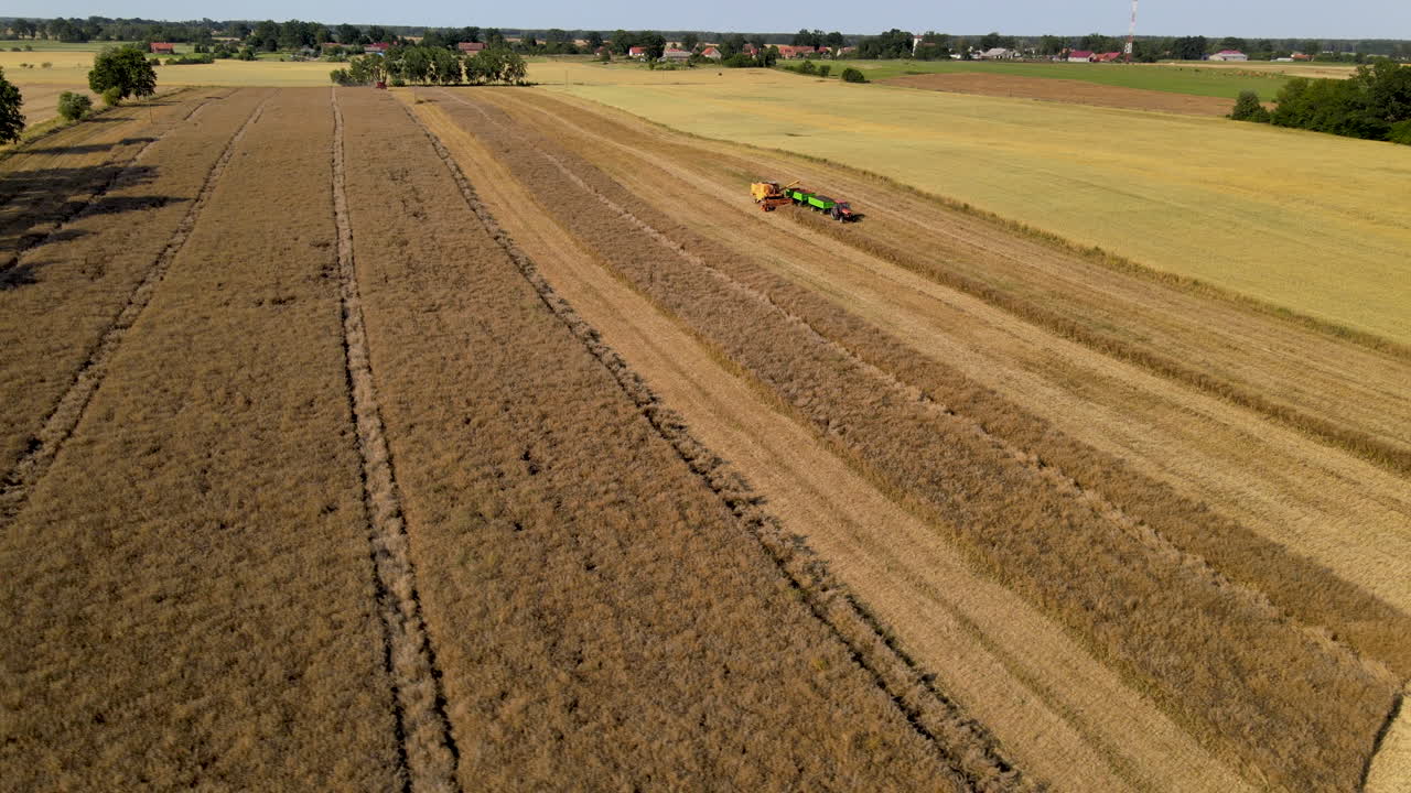 Aerial shot of vast brown farmland wheat field with harvester tractor on sunny day