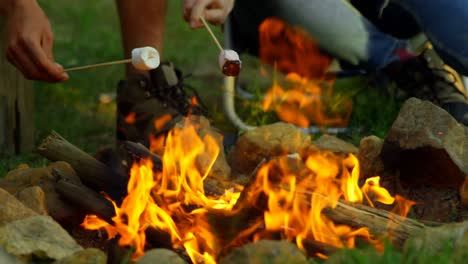 Friends-roasting-marshmallow-on-campfire-4k