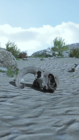 animal skull in a desert landscape