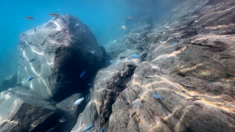 underwater exploration of lake malawi at nakatenga island. nankoma island, lake malawi, malawi.