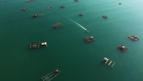 Boat-drives-through-floating-marine-pens-for-lobster-farming,-Mertak-aquaculture