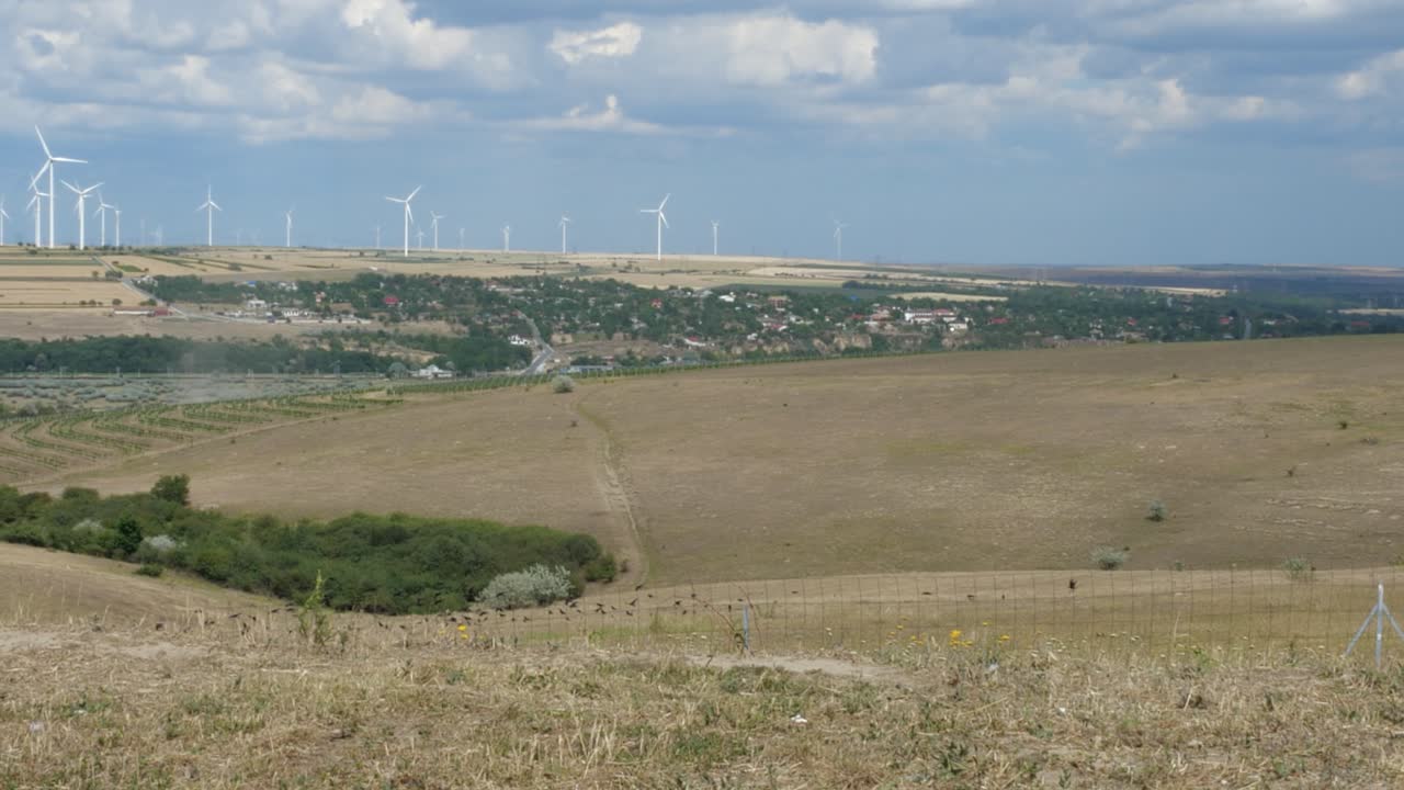 ветряная турбина на горизонте, птицы летят над сельскохозяйственными полями на переднем плане