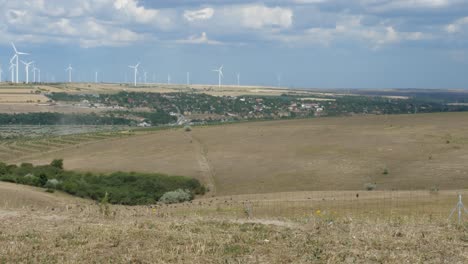 granja de turbinas eólicas en el horizonte, pájaros volando sobre los campos agrícolas en primer plano