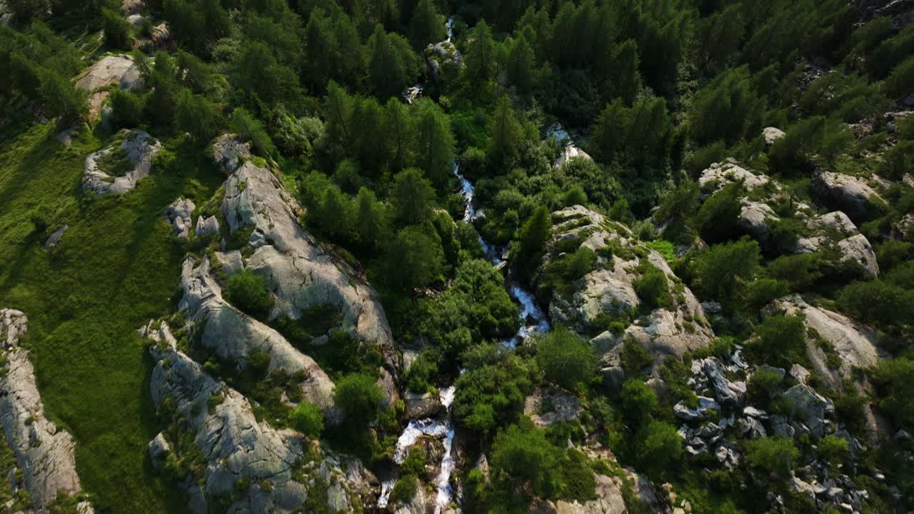 arroyo de agua que fluye en el valle de valmalenco de valtellina en la temporada de verano, norte de italia