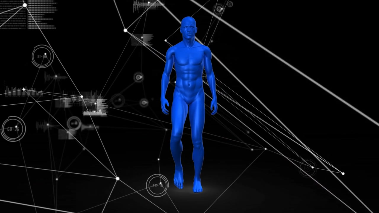 Animation of network of connections and data processing over human body model