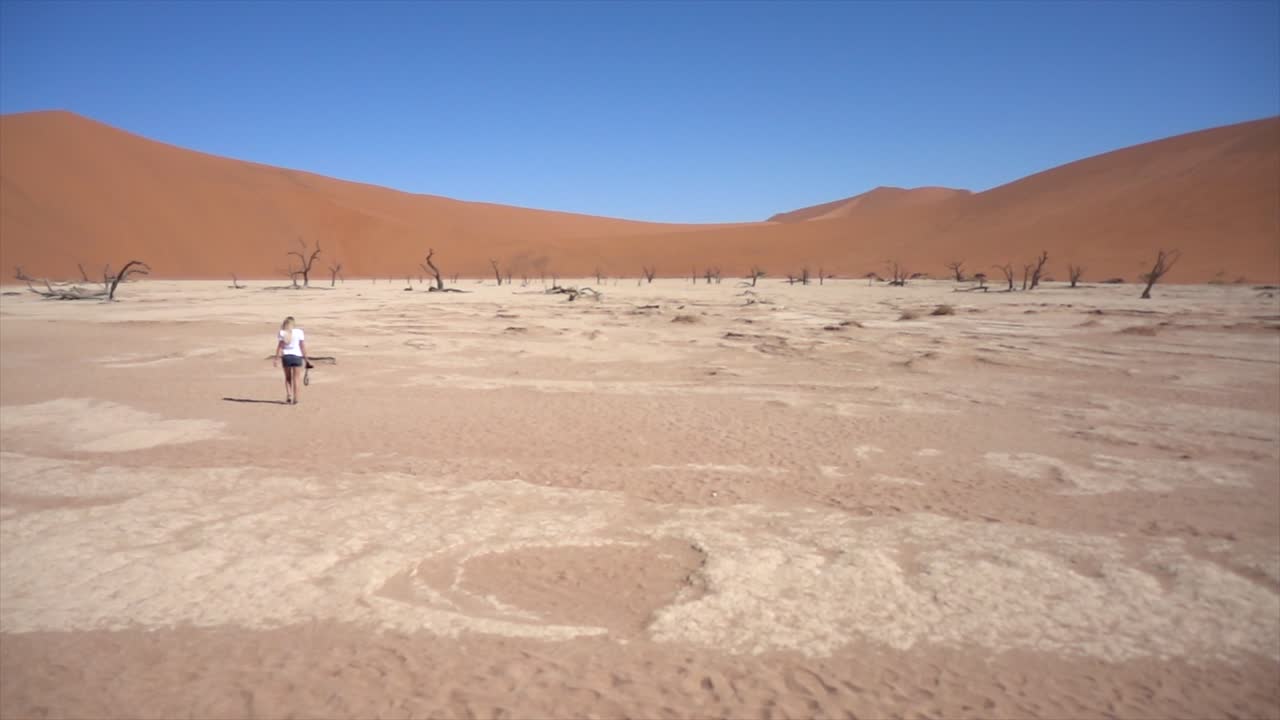 푸른 하늘을 배경으로 죽은 나무로 둘러싸인 deadvlei에 있는 젊은 밀레니얼 여성의 슬로모