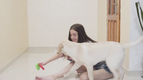 girl in shorts and t-shirt sitting on her room floor and playing with her pet dog, showing and hiding special dog toys, hugging the dog