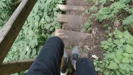 person on wooden stairs in forest