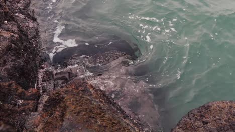 Irische-See-Am-Strand-An-Der-Irischen-Nordküste,-County-Antrim-27