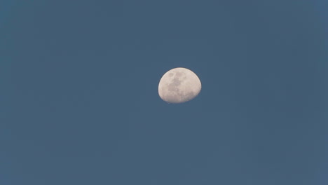 Primer-Plano-De-La-Luna-Moviéndose-Lentamente,-Capturada-Durante-El-Día-Con-Un-Cielo-Azul-Claro,-En-4k