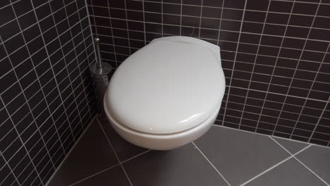 toilet bowl, lavatory in modern bathroom with black and grey tiles, 4k uhd, closed lid, panning shot left to right