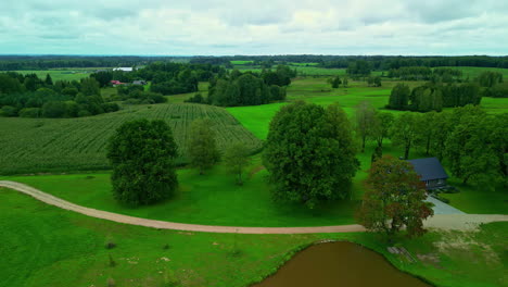 paisaje verde de la aldea rural, campos aéreos árboles y cielo azul con nubes ligeras