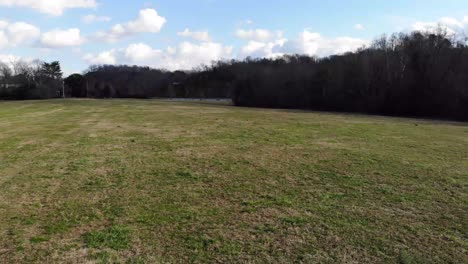 Flying-through-a-field-of-grass