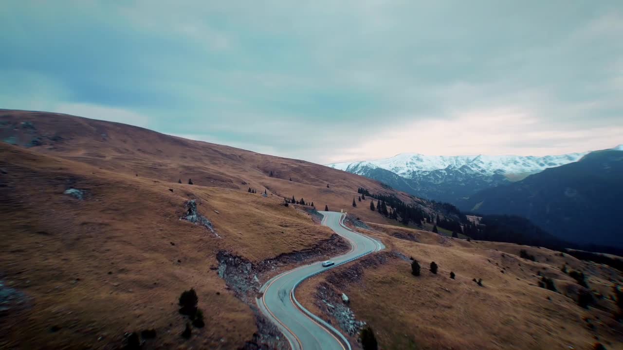 Aerial shot of a single car on the empty Transalpina Road during autumn, surrounded by grass and scattered shrubs and trees—snow-covered mountain peaks in the background under cloudy skies