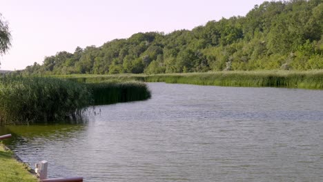 Panorama-Des-Sees-Mit-Grünem-Gras-Und-Dichtem-Wald