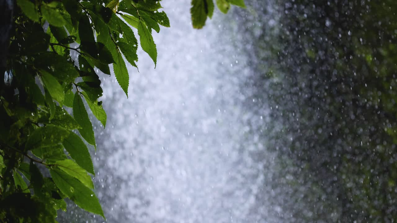 Lush green leaves frame a powerful waterfall with mist and spray, captured in daylight with a steady camera and natural lighting