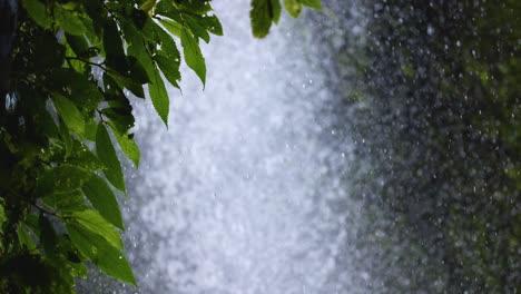 lush green leaves frame a powerful waterfall with mist and spray, captured in daylight with a steady camera and natural lighting