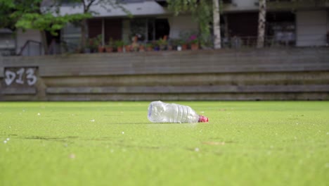 plastic bottle floating on a city canal covered with duckweed