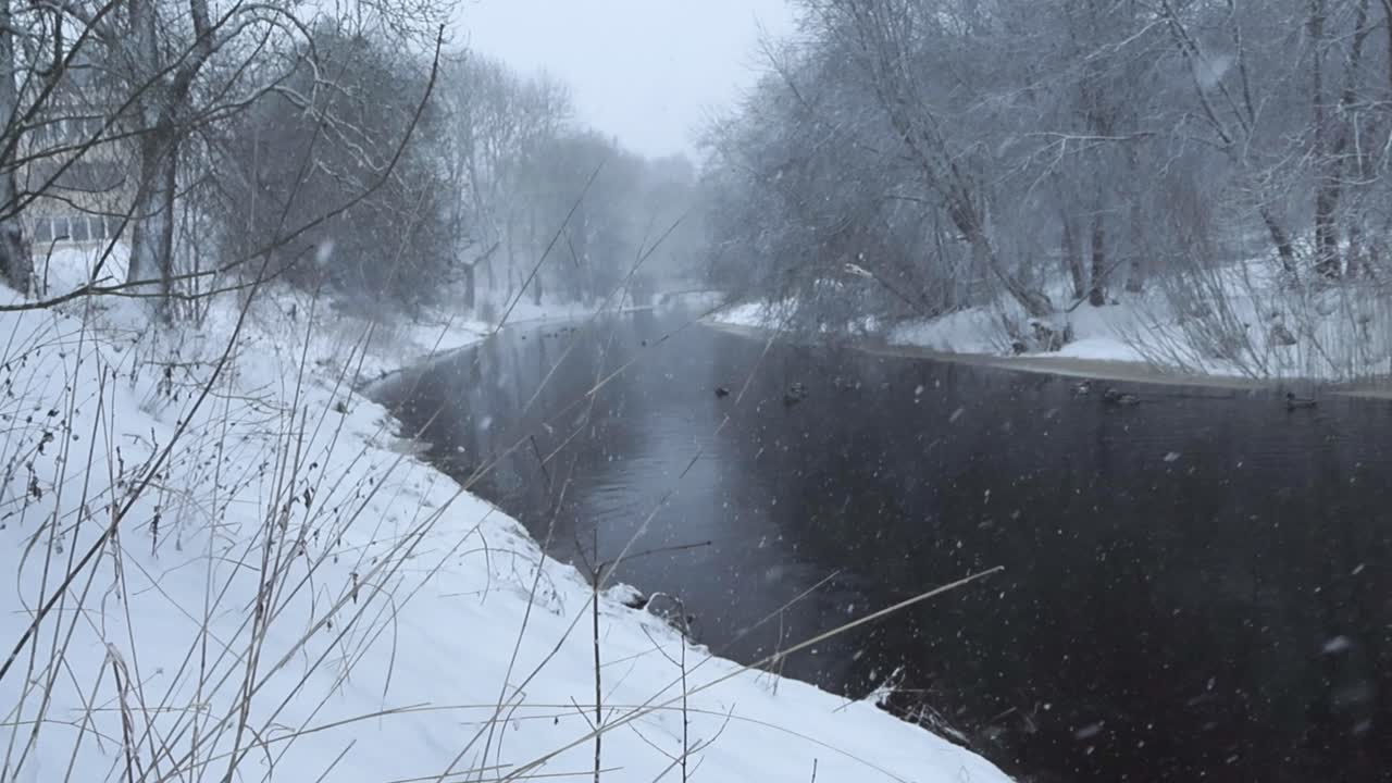 Large dark cold river water flowing through thick white snow covered river banks during a snowy stormy day while white thick snow falls on the water, trees and bushes on the sides. cloudy weather.