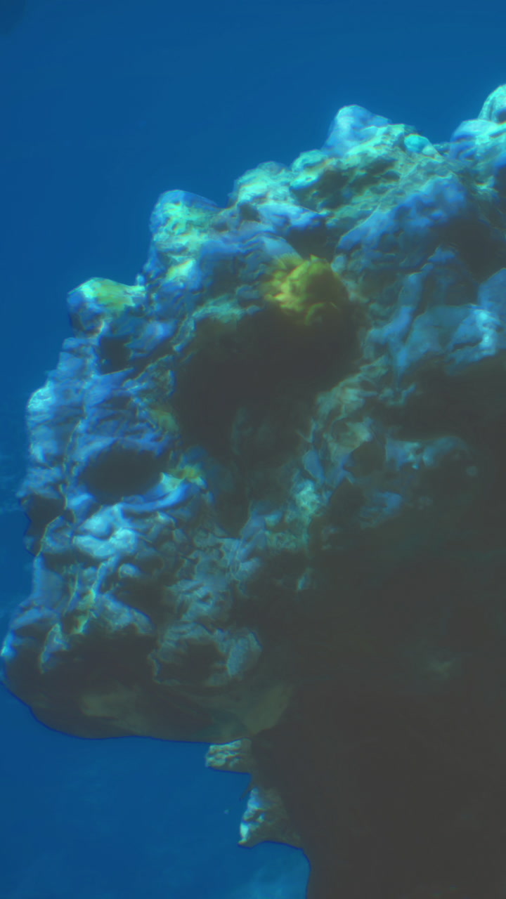 Coral formation under water showing diverse colors and textures in the ocean