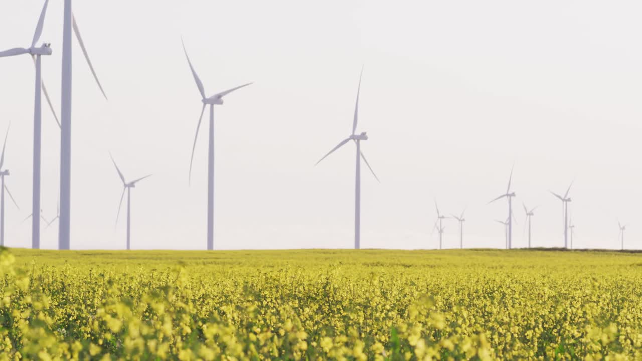 구름 없는 하늘을 가진 시골 풍경에서 풍력 터빈의 일반적인 모습