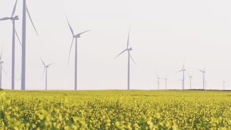 Gesamtansicht-Von-Windkraftanlagen-In-Ländlicher-Landschaft-Mit-Wolkenlosem-Himmel