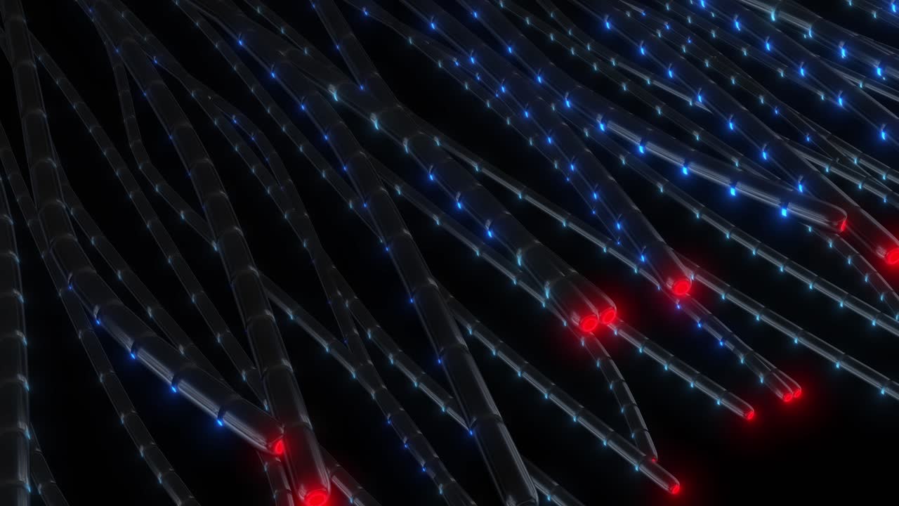 3D Illustration of Nerve Fibers