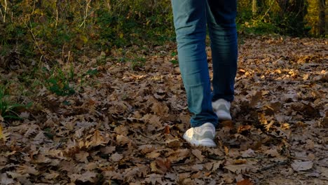 adolescente caminando en otoño