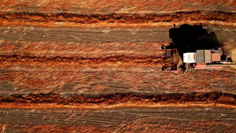 aerial view of combine harvester in action