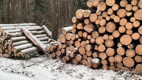 log trunks pile cowered with snow in the forest