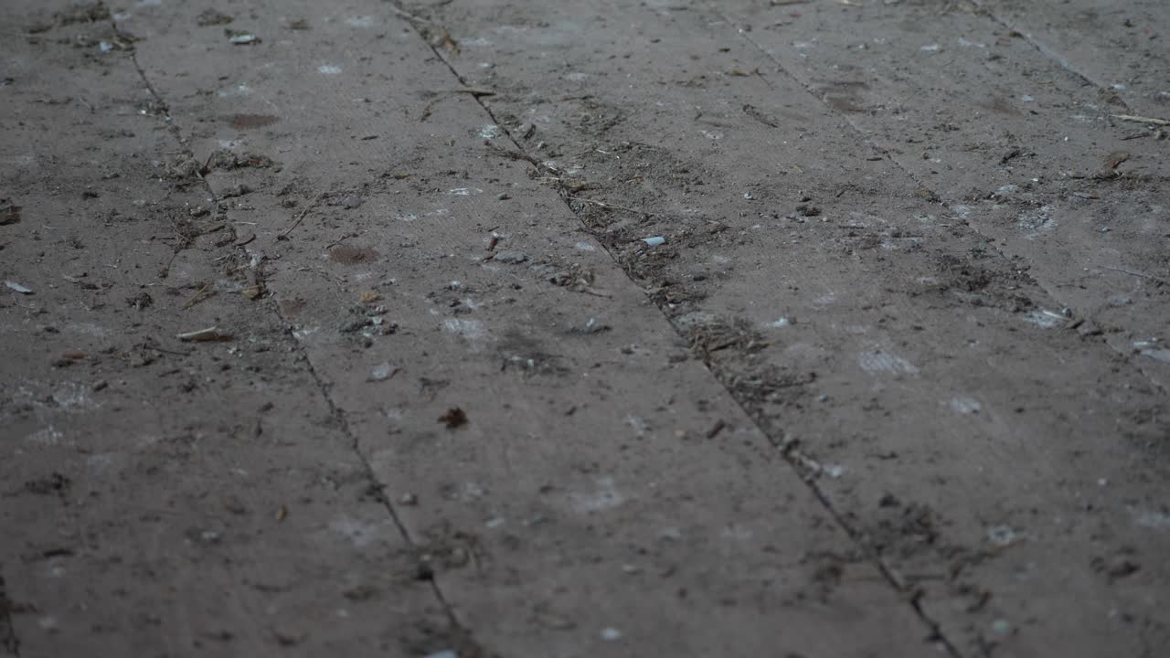 틸트업 샷에 있는 창고의 먼지가 많고 더러운 골동품 바닥