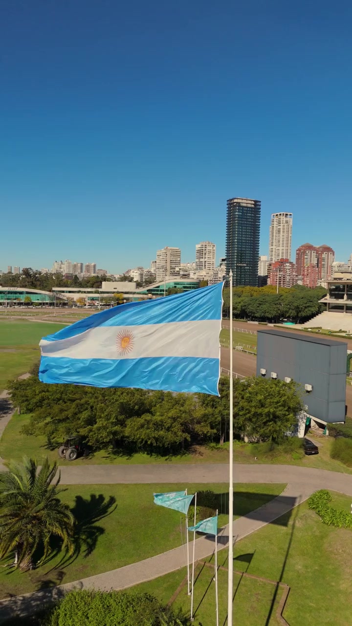 Bandiera argentina che sventola su un'asta alta con lo skyline della città e un parco sullo sfondo.