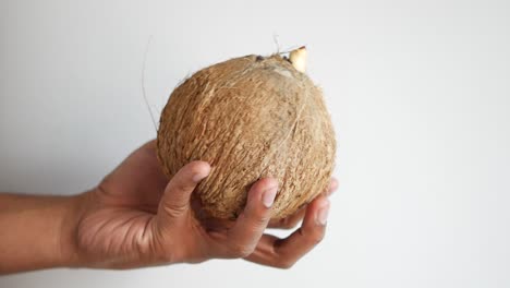 holding a fresh coconut against white background