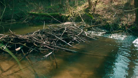 view of a wooden logs barricade the flow of water stream on a countryside