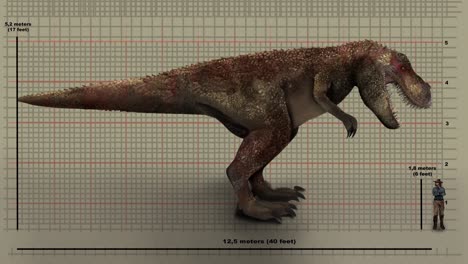 Dinosaurio-T-rex-Animado-Contra-Tabla-De-Altura