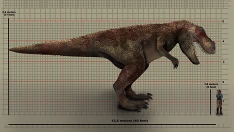 dinosaurio t-rex animado contra el gráfico de altura