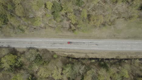 top down shot of a red car driving on a road, in between nature and trees.