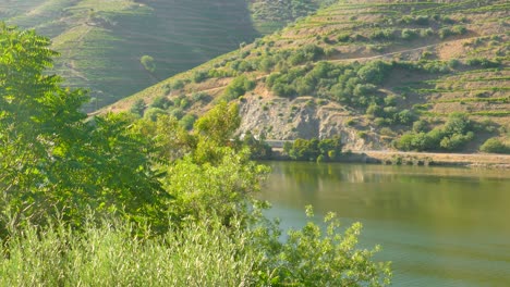 Zug-Fährt-Im-Sommer-In-Portugal-Am-Fluss-Douro-Und-Den-Bergen-Vorbei